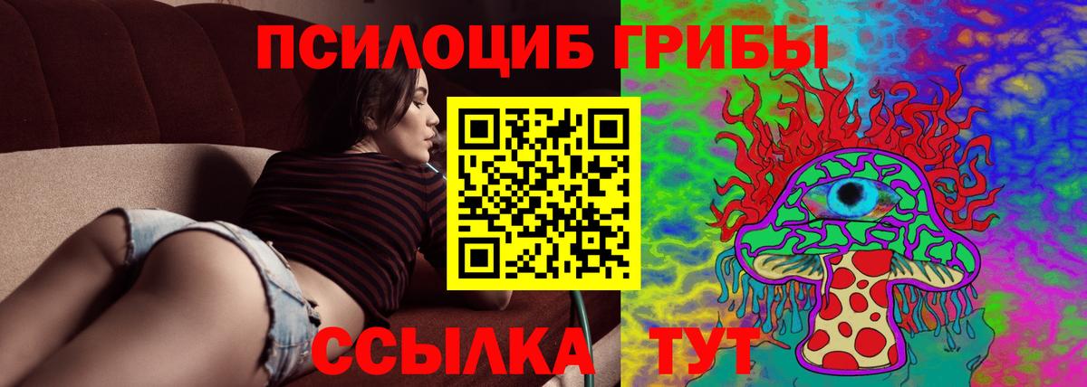 Псилоцибиновые грибы MAGIC MUSHROOMS  Псилоцибиновые грибы мицелий  Мариинск  Вход с VPN 